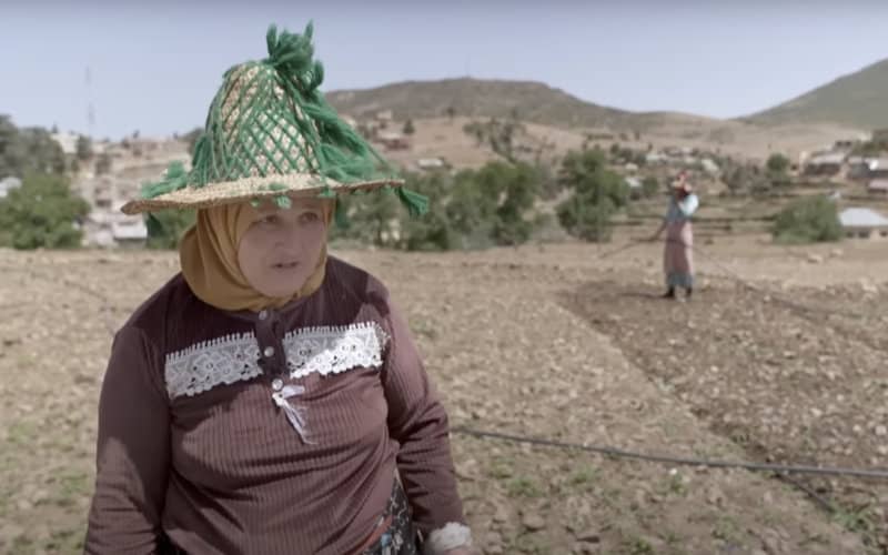 Morocco's Rif Region Grapples with Cannabis Legalization Boom