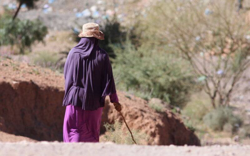 Morocco's Rural Women: 6.5 Million Strong, Facing Demographic Shifts