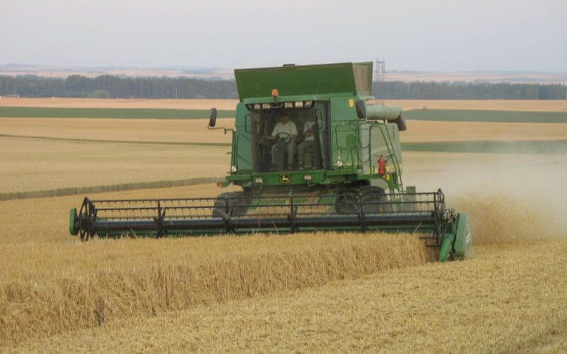 Morocco's State of Emergency Halts Harvest, Threatening Agricultural Losses