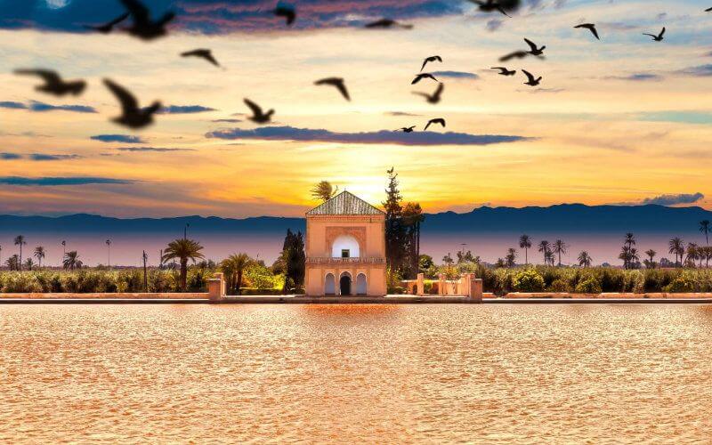 Morocco's Tourism Industry Faces Steep Decline as Coronavirus Halts Travel