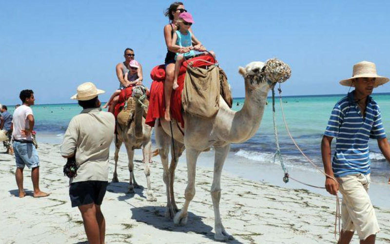 Morocco's Tourism Paradox: Record Visitor Numbers, Declining Revenues