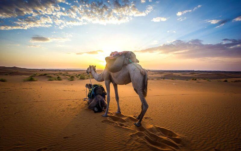 Morocco's Tourism Plummets 45% Amid Global Health Crisis