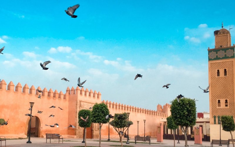 Morocco's Urban Planning Crisis: Corruption and Chaos Exposed