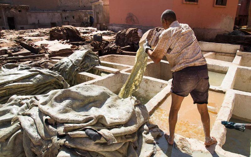 Morocco's Wage Gap: 38% of Workers Earn Below Minimum Wage, CNSS Data Shows