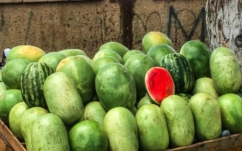 Morocco's Watermelon Exports Surge, Dominating MENA Market