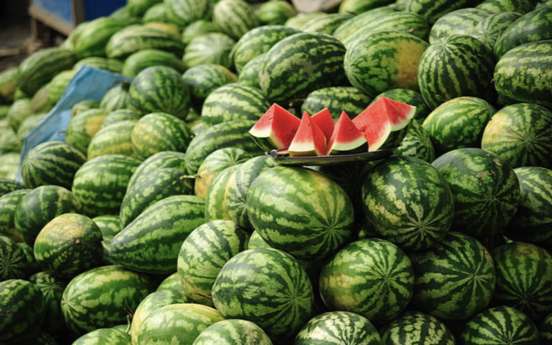 Morocco's Watermelon Production Drops, Slips to 20th Globally