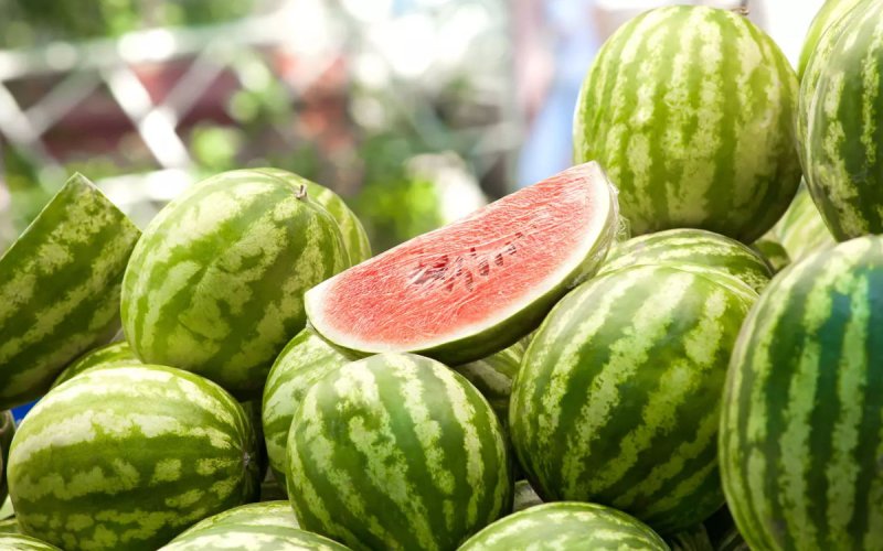 Morocco's Watermelon Triumph: Premium Prices and Soaring Exports Reshape European Market