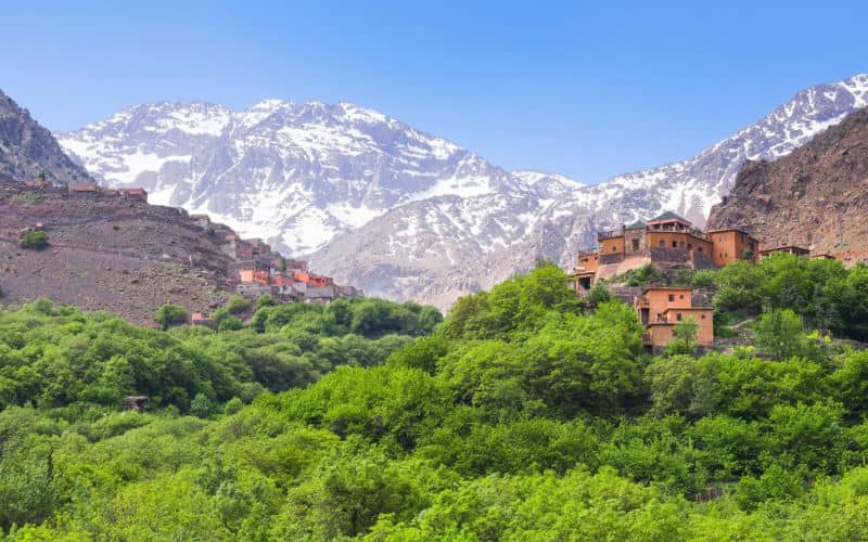 Morocco's World Cup Success Sparks Tourism Boom, Social Media Frenzy