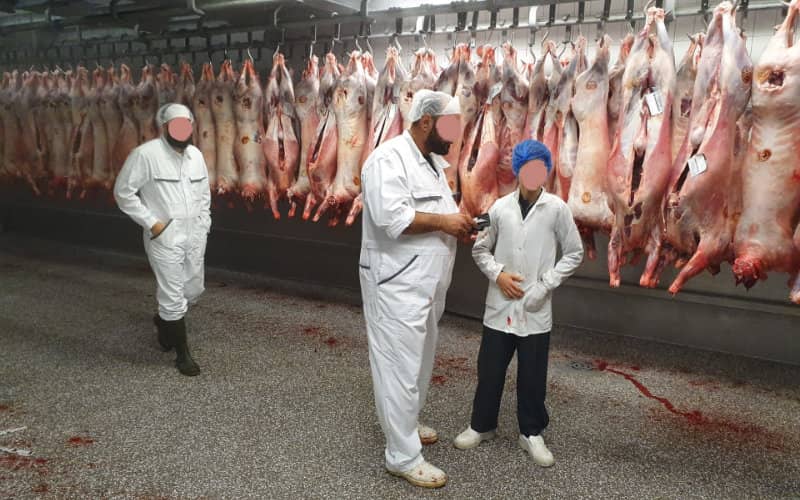 Muslim and Jewish Leaders Unite Against Brussels' Proposed Ritual Slaughter Ban