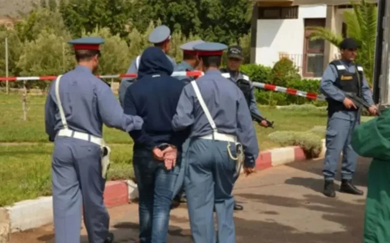 Nador Drug Crackdown: Gendarmerie Dismantles Trafficking Networks