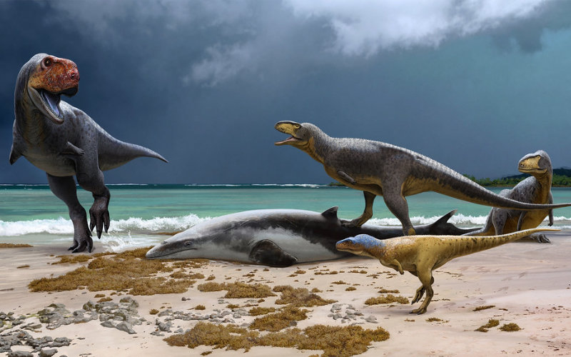 New Dinosaur Species Discovered in Morocco: Primitive T. Rex Cousins Shed Light on African Prehistory