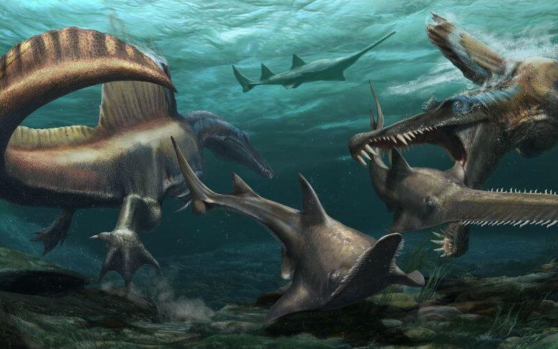 New Fossil Evidence Reveals Spinosaurus Was Aquatic Predator in Ancient Sahara