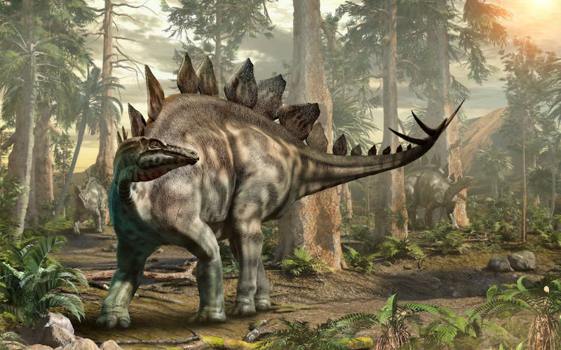 New Stegosaur Species Unearthed in Morocco's Middle Atlas Mountains