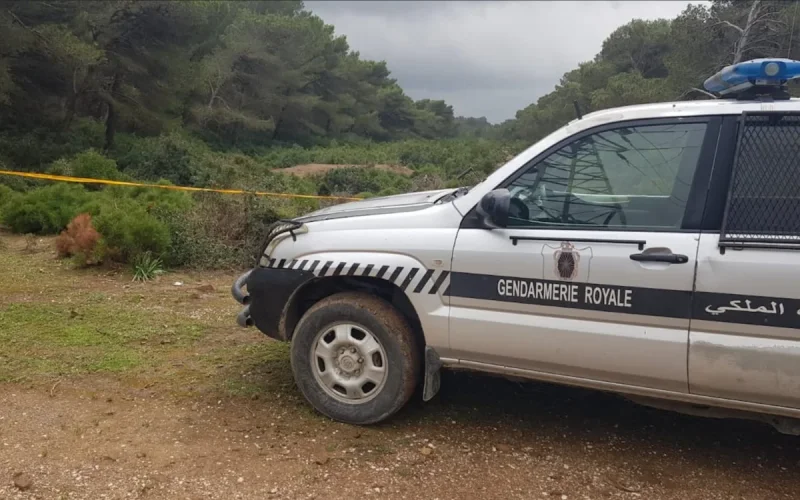 Northern Morocco: The Gendarmerie solves a violent murder and arrests 14 traffickers