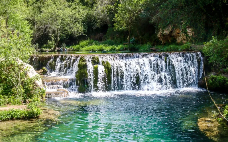Northern Morocco Turns Green After Heavy Winter Rains