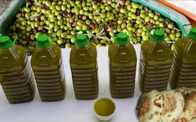 Olive oil: 6,500 liters seized, the hunt for adulterated products accelerates in northern Morocco