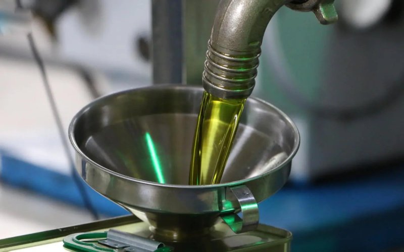 Olive Oil Industry Faces Environmental Reckoning in Morocco
