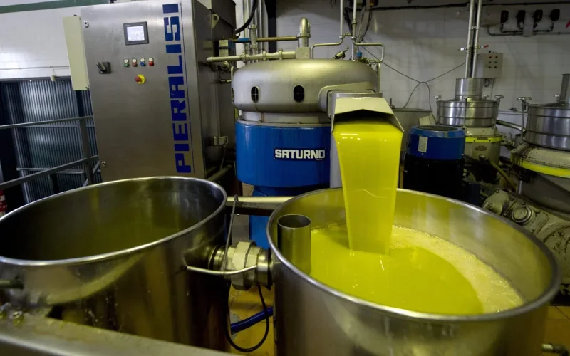Olive oil: a Spanish giant threatens to relocate production to Morocco