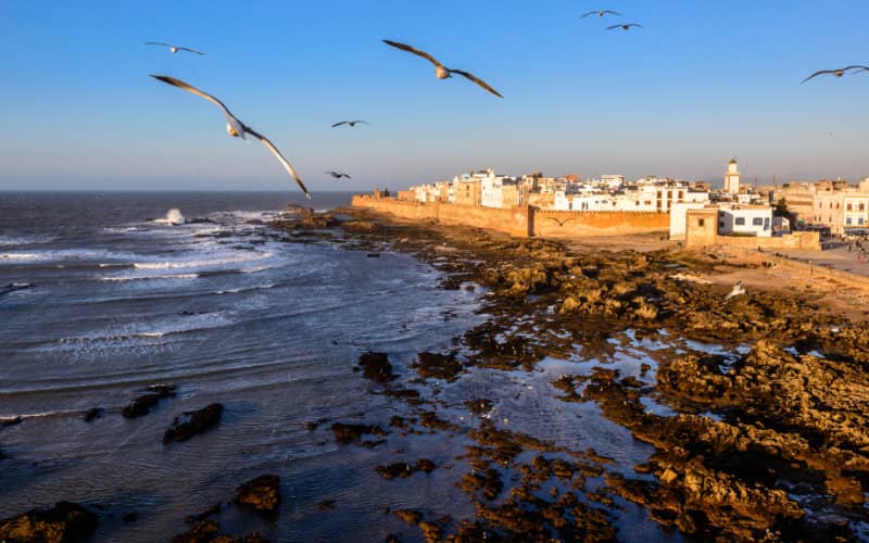 Omicron Surge Devastates Essaouira's Tourism Industry, Businesses Plead for Aid
