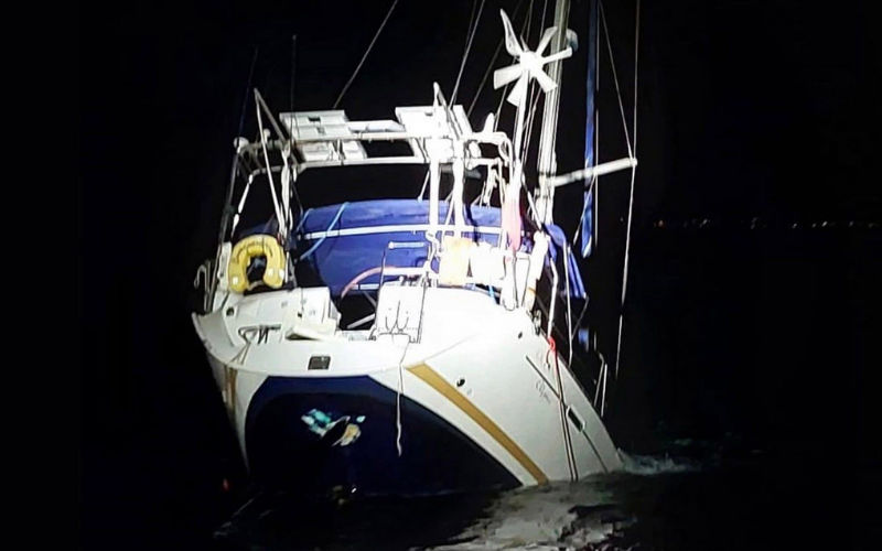 Orca Attack Sinks Sailboat in Gibraltar Strait, Raising Concerns About Increasing Incidents