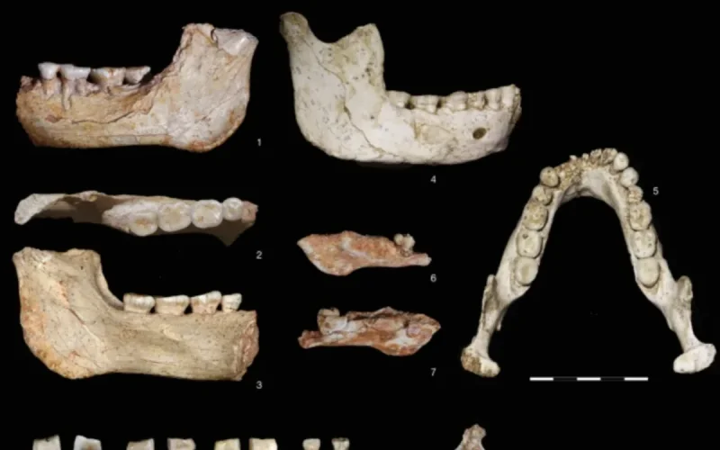 Origins of Humans: Morocco Unveils the Potential Common Ancestor of Sapiens and Neanderthal