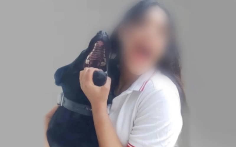 Outrage in Morocco: Dog Owner Faces Investigation for Ordering Kitten's Death