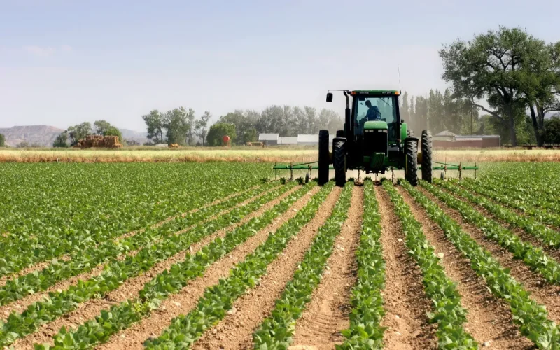 Pesticides Banned in Europe Sold to Morocco