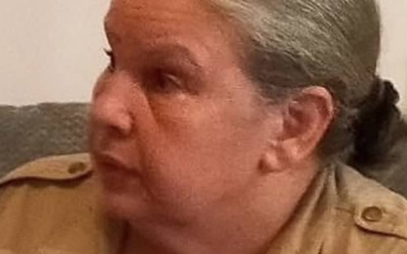 Police Seek Public's Help in Finding Missing 64-Year-Old Woman with Schizophrenia in Yvelines, France