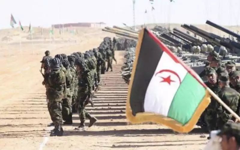 Polisario Front Condemns France, Calls for Exclusion from Western Sahara Peace Process