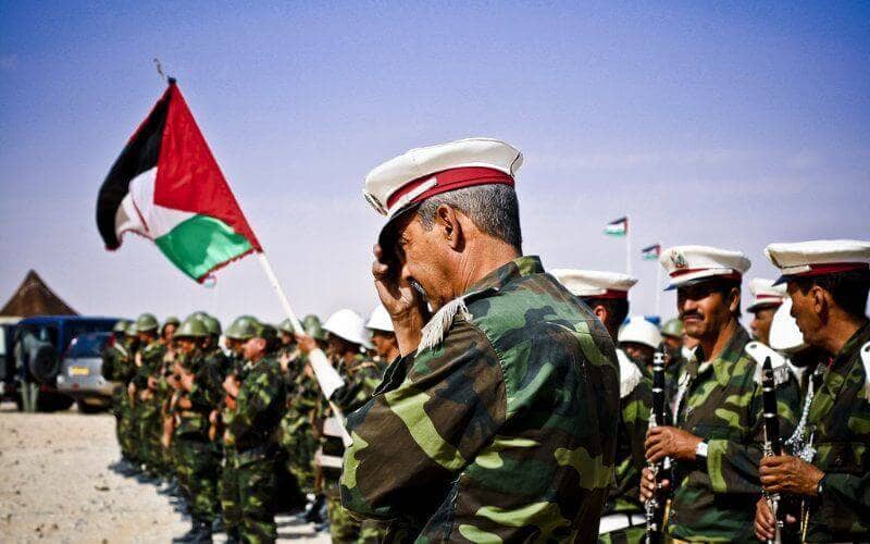 Polisario Official Blames Leadership and Algeria for Failed Campaign Against Morocco