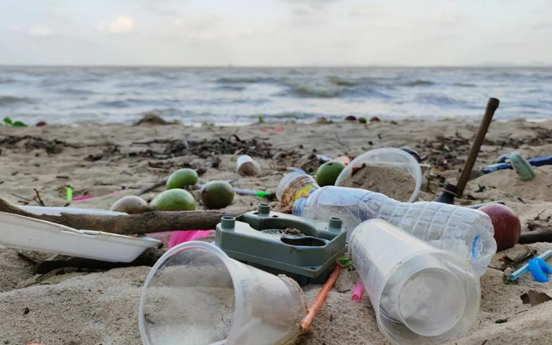 Pollution Plagues Tangier Beaches, Lawmaker Warns of Health and Tourism Risks