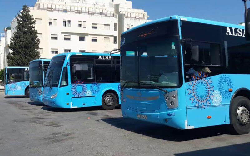 Rabat Officials Deny Plans for Women-Only 'Pink Buses' in Public Transport System