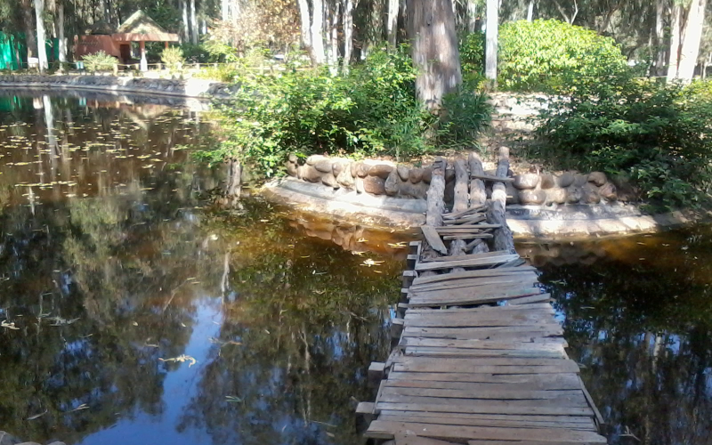 Rabat's Hidden Oasis: Ibn Sina Urban Forest Draws Locals and Tourists Alike
