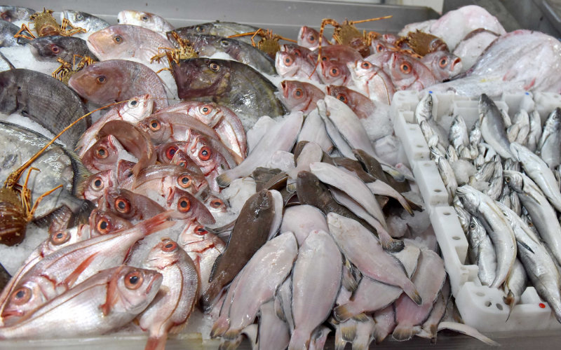 Ramadan Approaches as Fish Prices Surge in Morocco, Sparking Political Action