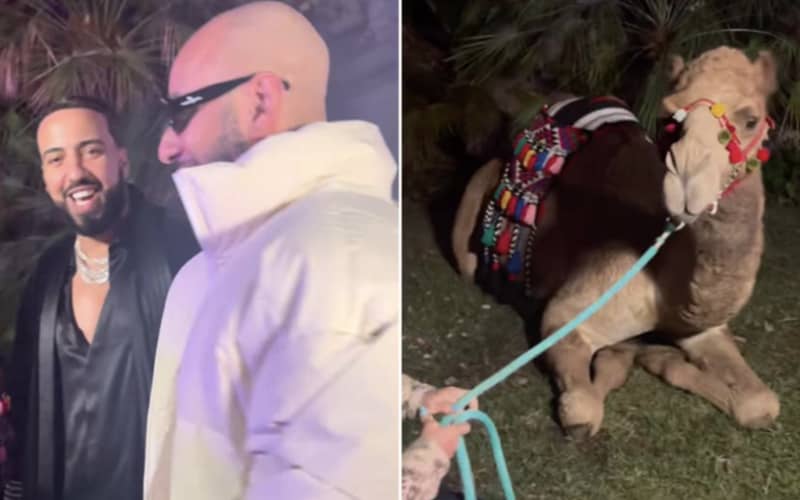 Rapper French Montana Gifted Live Camel at Star-Studded 38th Birthday Bash