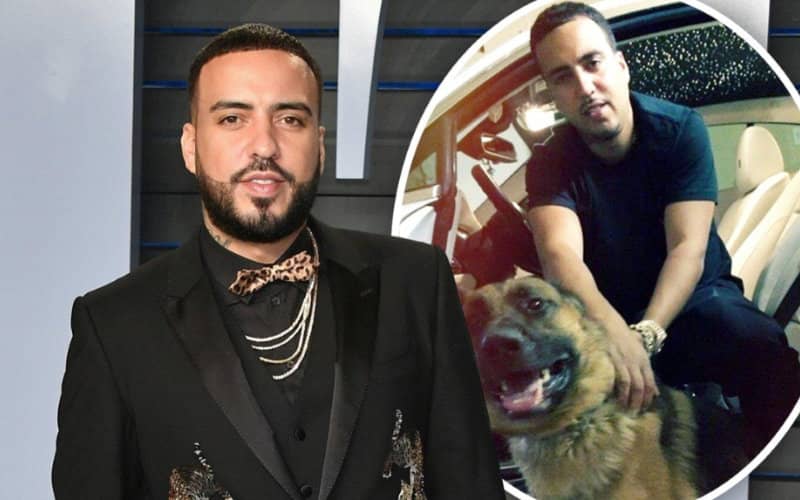 Rapper French Montana Ordered to Pay $129,500 in Dog Bite Lawsuit