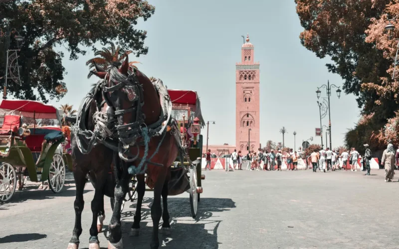 Real Estate Sales in Morocco: The New 2026 Coefficients to Pay Less Taxes