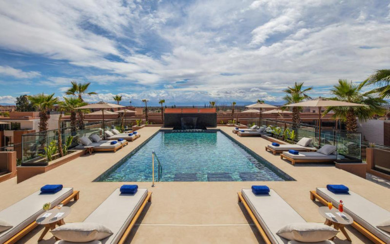 Rooftop Palm Trees in Marrakech Spark Environmental Concerns