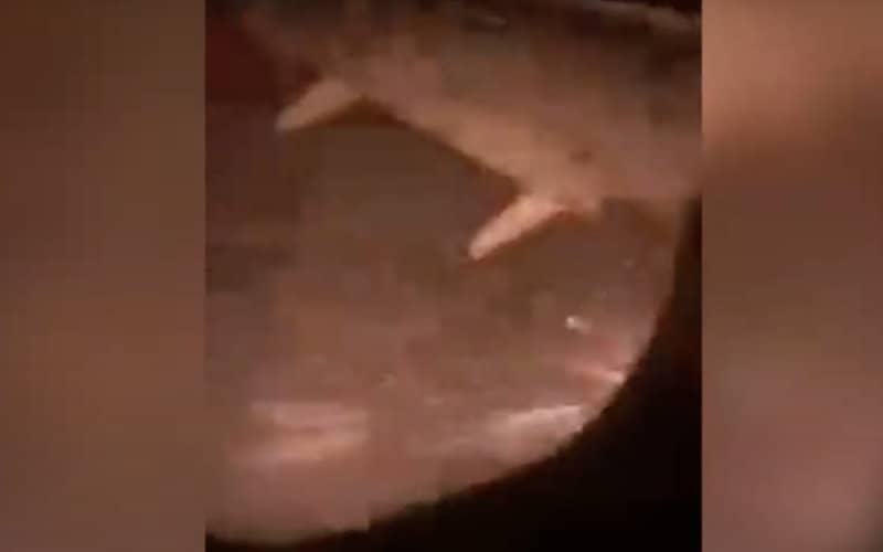 Royal Air Maroc Plane Lands Safely After Tire Fire at Oujda Airport