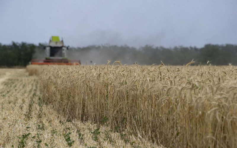 Russia Offers to Boost Agricultural Exports to Drought-Stricken Morocco Tenfold