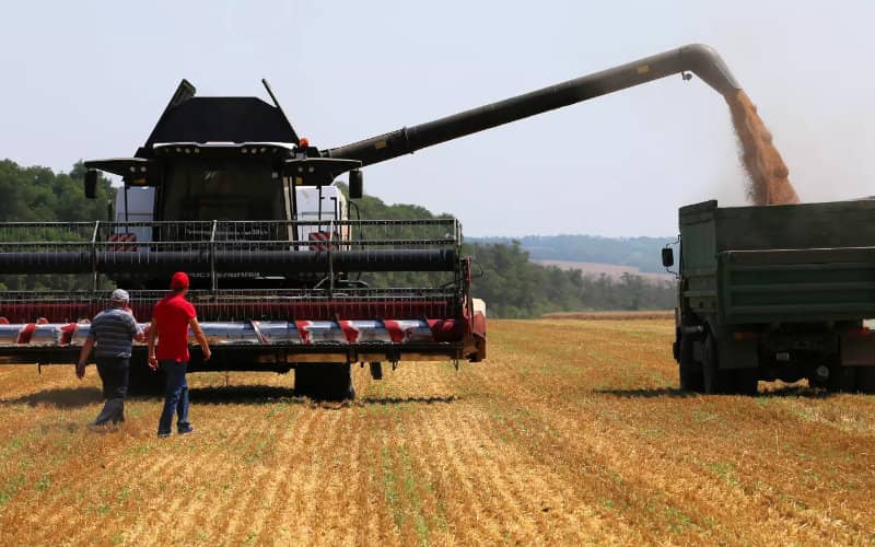 Russia Restricts Wheat Exports to Former Soviet States, Global Supply Concerns Rise