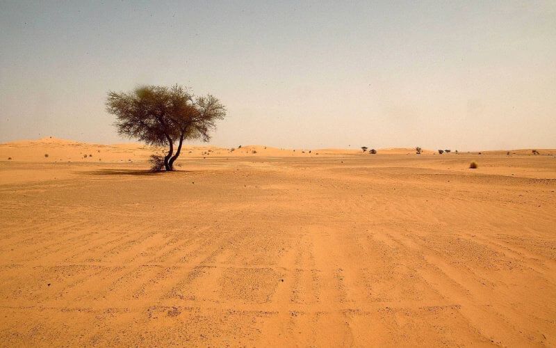 Sahrawi Youth Dies in Desert as Group Attempts Escape from Tindouf Camps to Morocco