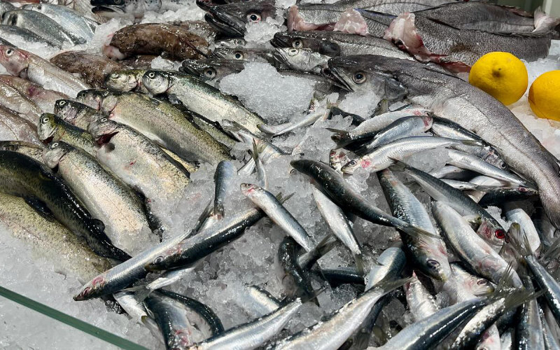 Sardine Prices Skyrocket in Morocco, Shocking Consumers and Straining Budgets