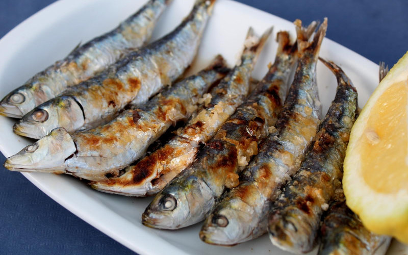 Sardine Prices Skyrocket in Morocco, Impacting Households and Industry