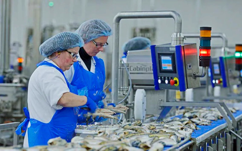 Saupiquet Tuna Maker to Close French Plant, Shift Production to Morocco and Spain