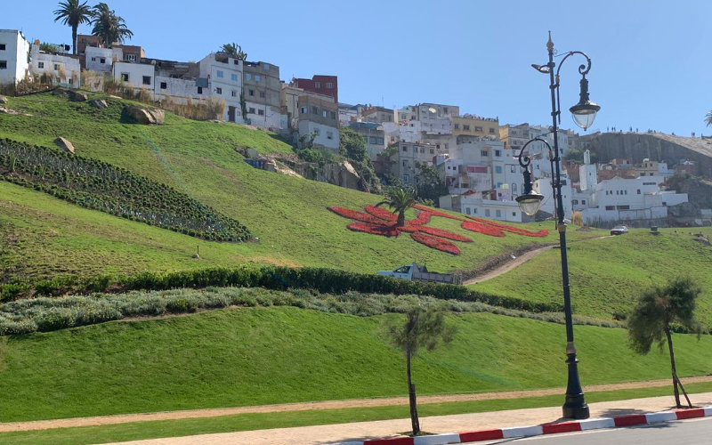 Senior Moroccan Official Faces Trial After Drunk Driving Crash in Tetouan