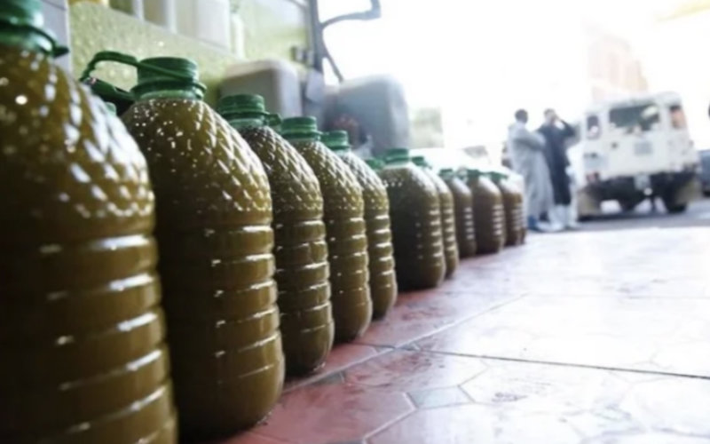 Severe Drought Drives 50% Surge in Moroccan Olive Oil Prices, Impacting Families