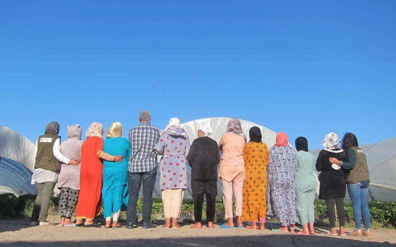Sexual Abuse Allegations Haunt Moroccan Farm Workers in Spain's Fruit Industry