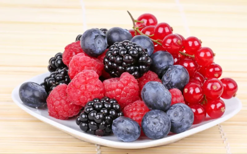 Shortage of berries in Europe: Morocco pointed the finger