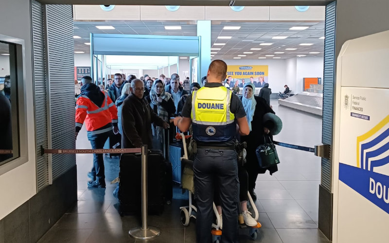 Smuggled Shells: Dutch Traveler Caught with Illegal Turtles and Cigarettes at Belgian Airport